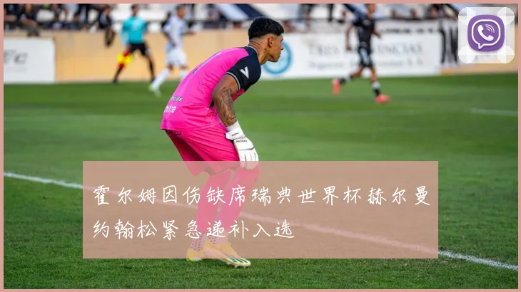 霍尔姆因伤缺席瑞典世界杯赫尔曼约翰松紧急递补入选