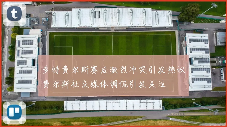 多特费尔斯赛后激烈冲突引发热议费尔斯社交媒体调侃引发关注